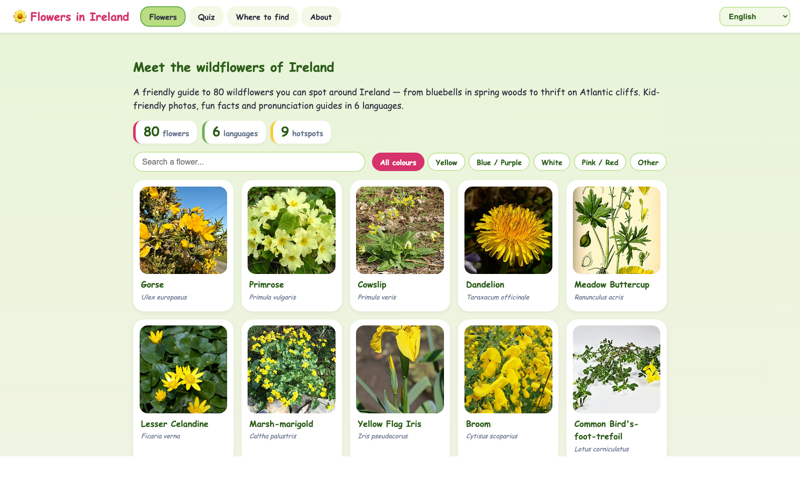 Flowers in Ireland — multilingual wildflower guide for kids